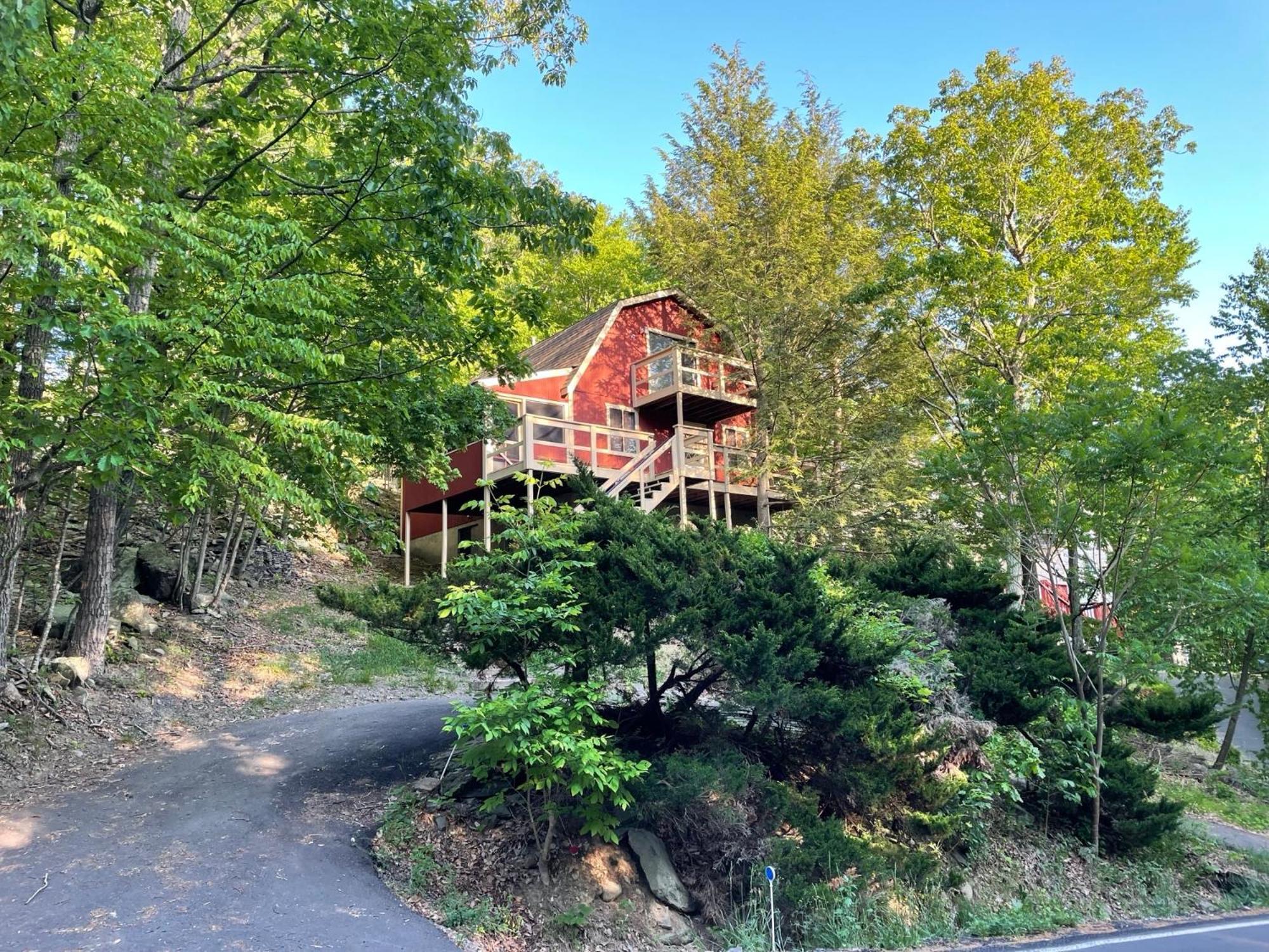 Saw Creek Cabin - Regent Hilltop Бушкілл Екстер'єр фото
