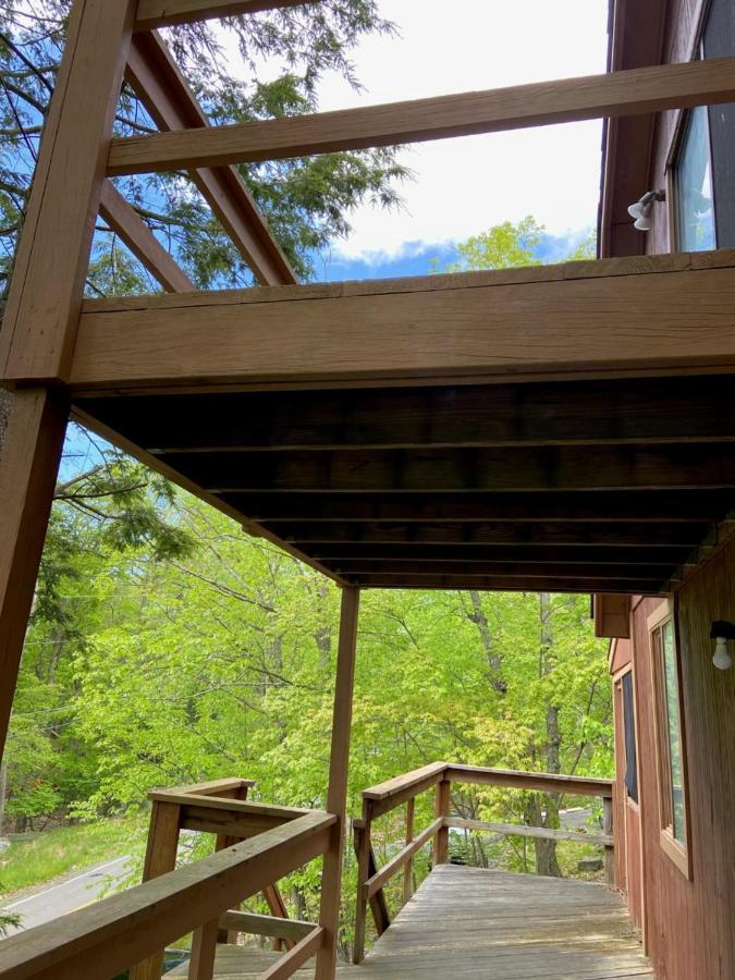 Saw Creek Cabin - Regent Hilltop Бушкілл Екстер'єр фото
