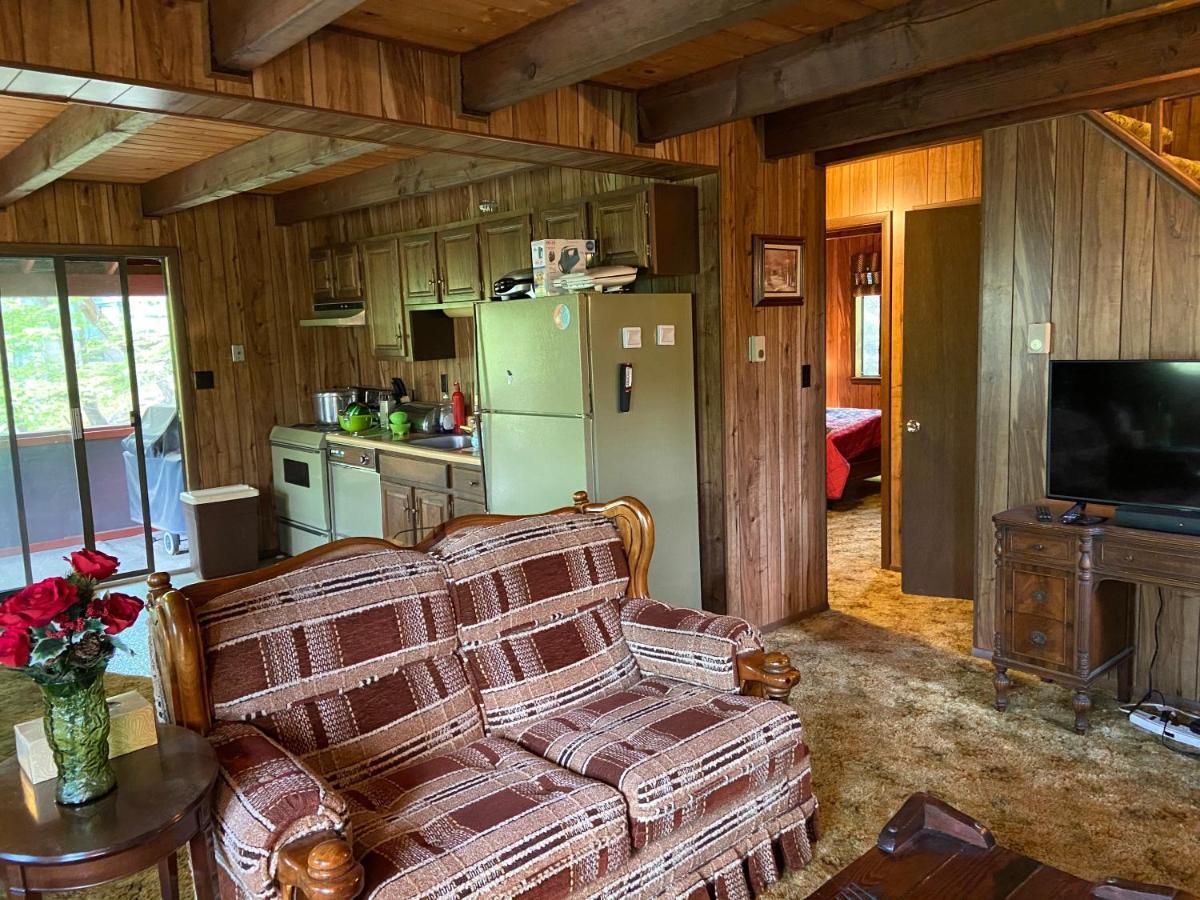Saw Creek Cabin - Regent Hilltop Бушкілл Екстер'єр фото