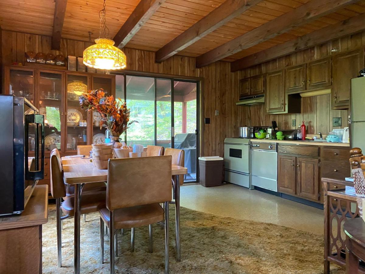 Saw Creek Cabin - Regent Hilltop Бушкілл Екстер'єр фото