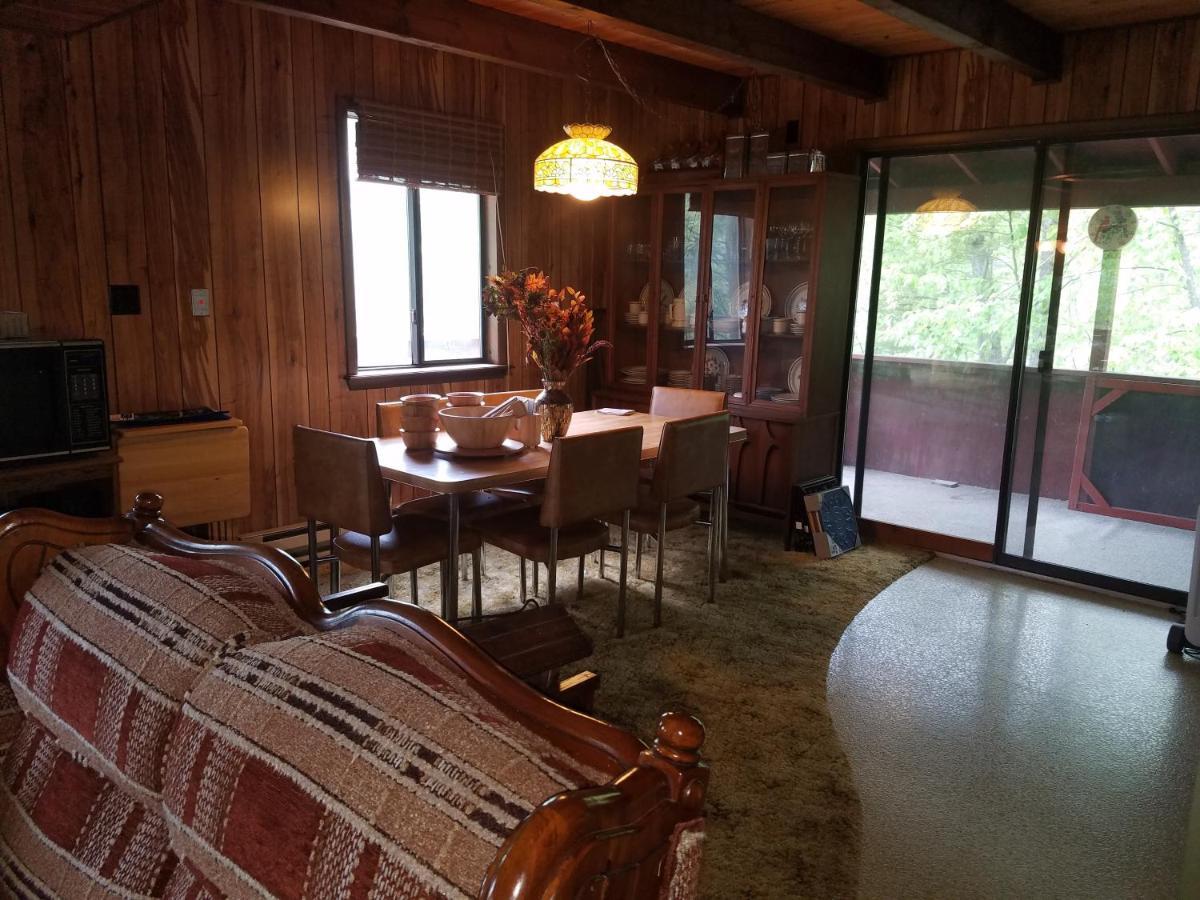 Saw Creek Cabin - Regent Hilltop Бушкілл Екстер'єр фото